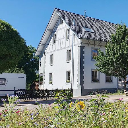 Apartment Kerbholz - Zwischen Suedschwarzwald Und Schweiz Griessen Dış mekan fotoğraf