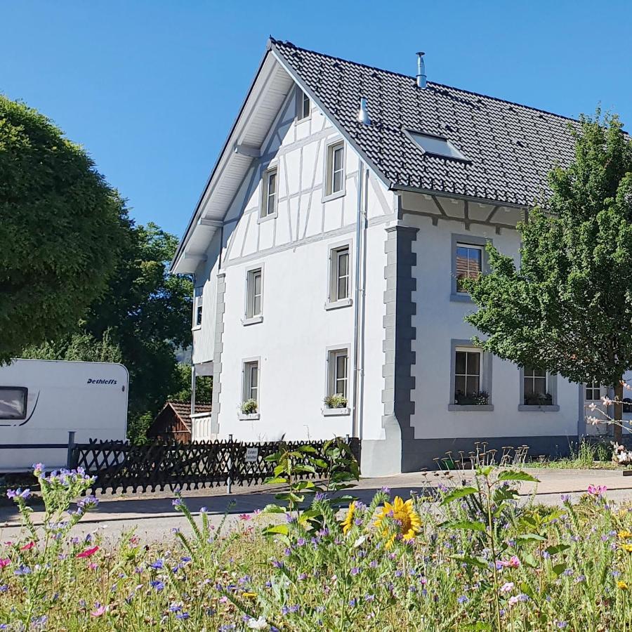 Apartment Kerbholz - Zwischen Suedschwarzwald Und Schweiz Griessen Dış mekan fotoğraf