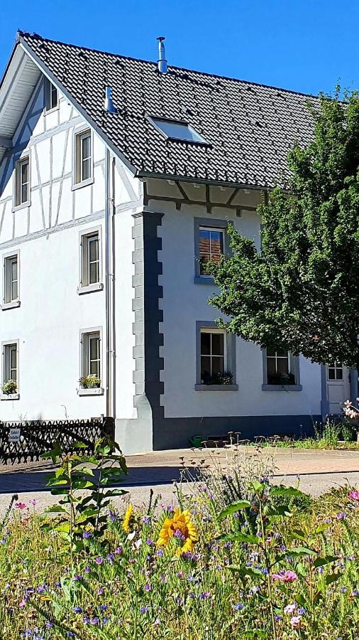 Apartment Kerbholz - Zwischen Suedschwarzwald Und Schweiz Griessen Dış mekan fotoğraf