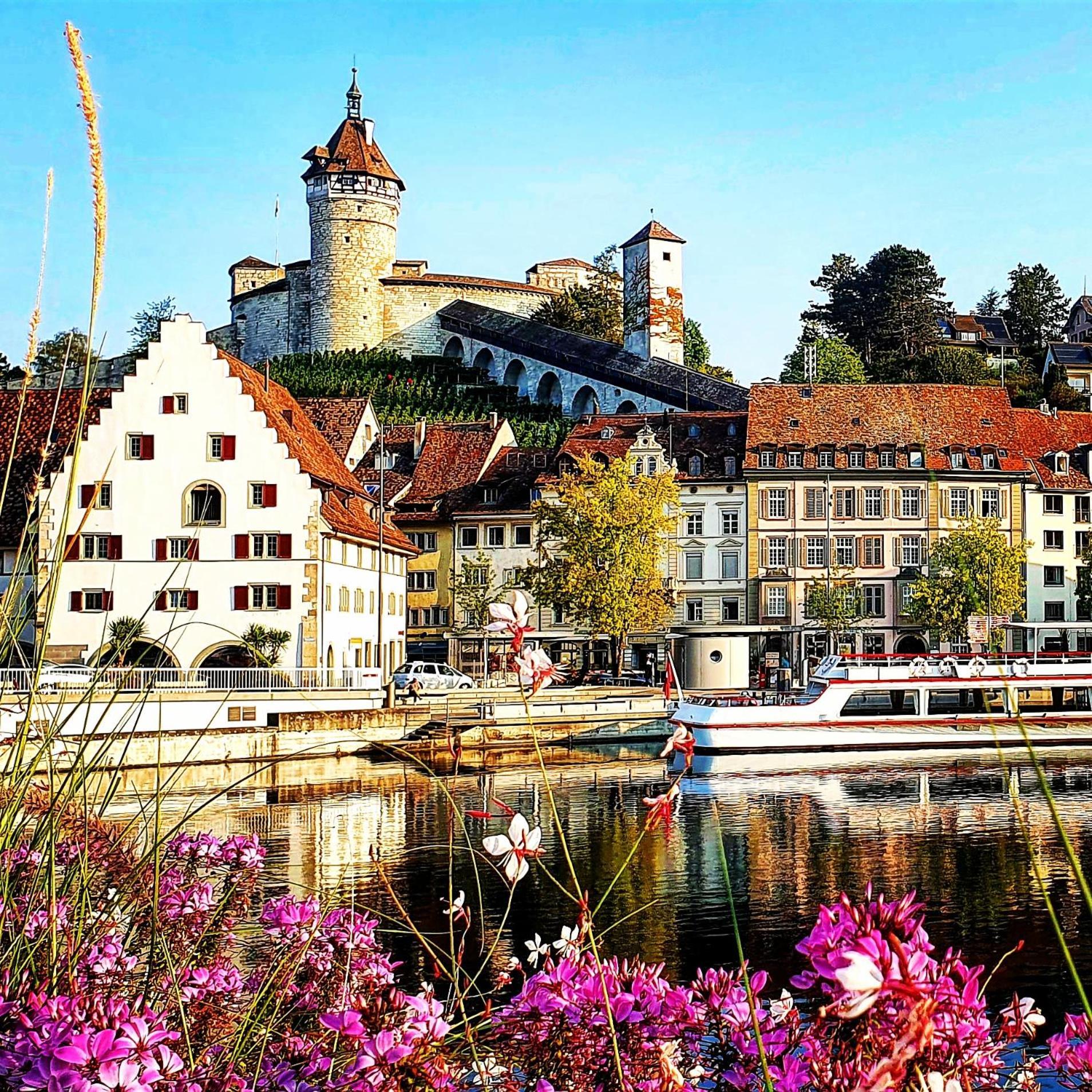 Apartment Kerbholz - Zwischen Suedschwarzwald Und Schweiz Griessen Dış mekan fotoğraf